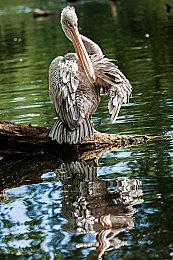 《游戏王：大师决斗》发布新预告片 预计今年冬季发行